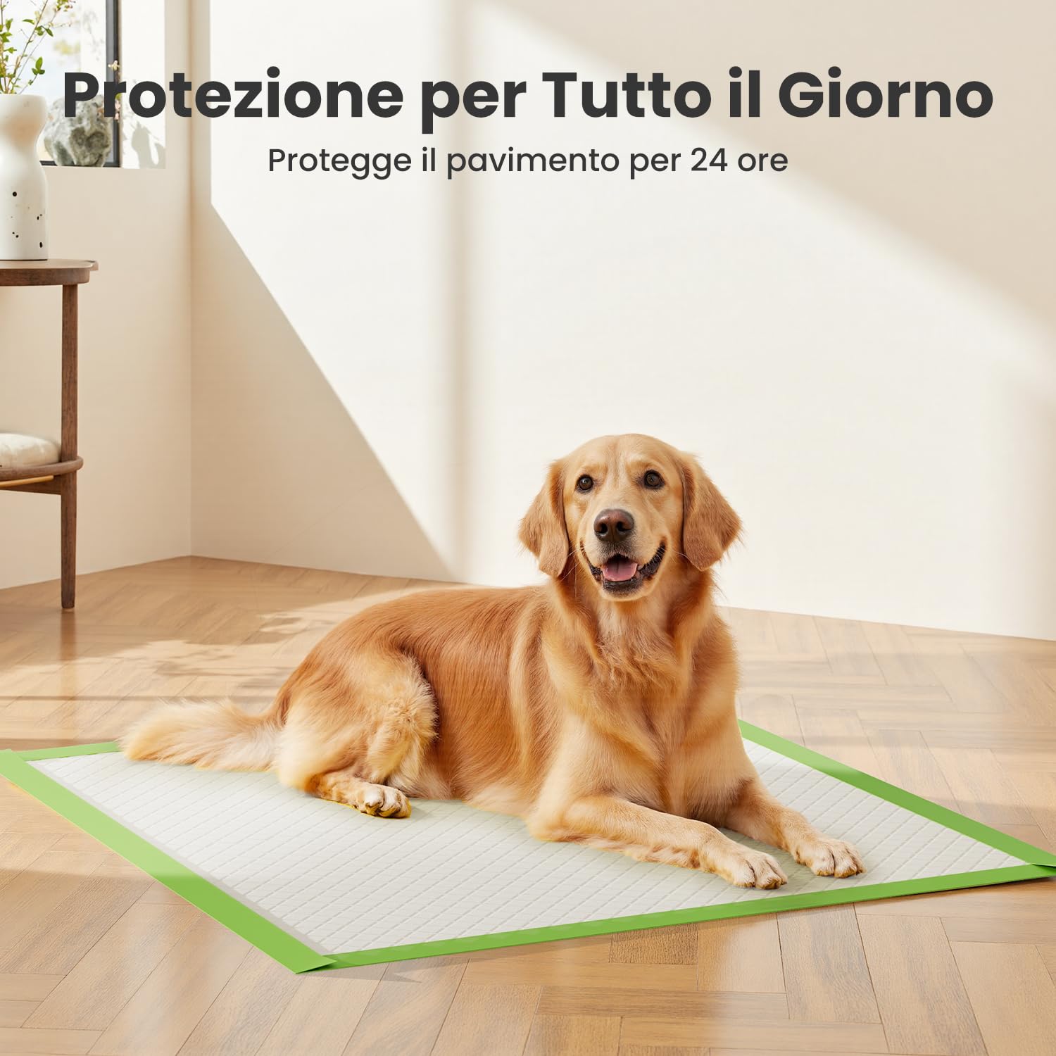 Gardner Pet Tappetini Igienici per Cuccioli, 71x94cm Grandi Tappetini Assorbenti per Cani, Super Assorbenti, 6 Strati Antiperdita, Asciugatura Rapida, 30 Pezzi