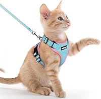 Vista 29 de rabbitgoo Cat Harness and Leash for Walking, Escape Proof Soft Adjustable Vest Harnesses for Cats, Easy Control Breathable Reflective Strips Jacket