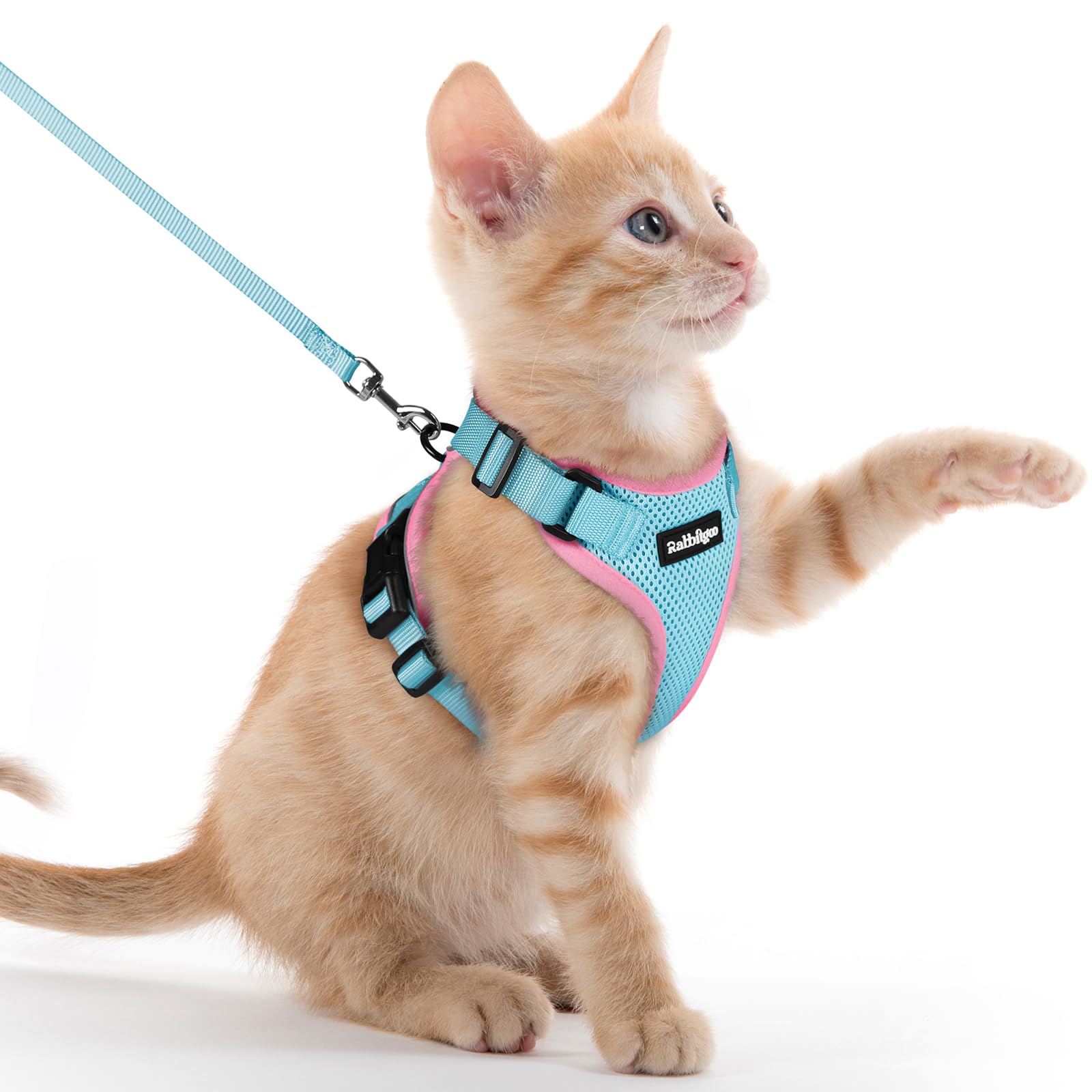 rabbitgoo katzengeschirr mit Leine ausbruchsicher für Katze Verstellbares Brustgeschirr Reflektierendes Softgeschirr mit katzenleine Weich und Bequem für Kätzchen