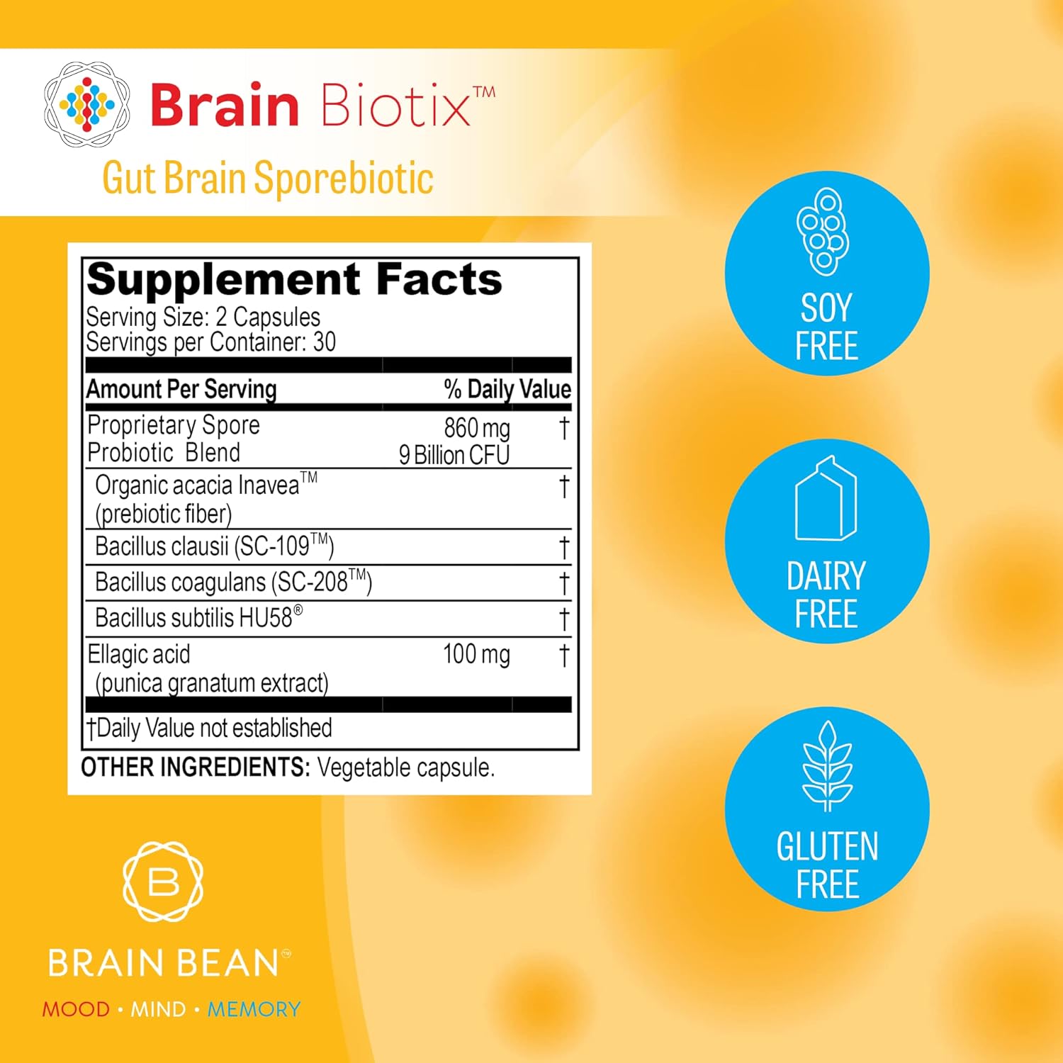 Brain Bean Brain Biotix | Gut and Brain Spore-Based Probiotic and Prebiotic | 30 Servings - Image 4
