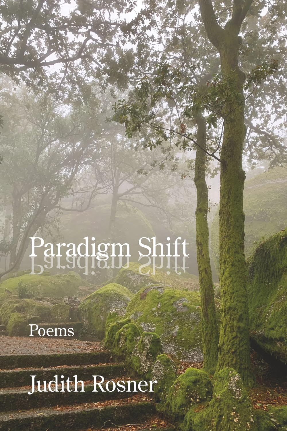 Paradigm Shift