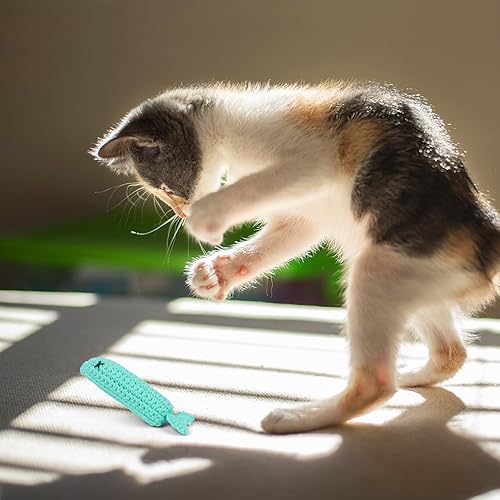 Miniatura 6 de Juguetes de ganchillo de hierba gatera de Halloween, juguete de gato de lata de pescado de sardina, juguete de gato de Halloween para gatos, juguete