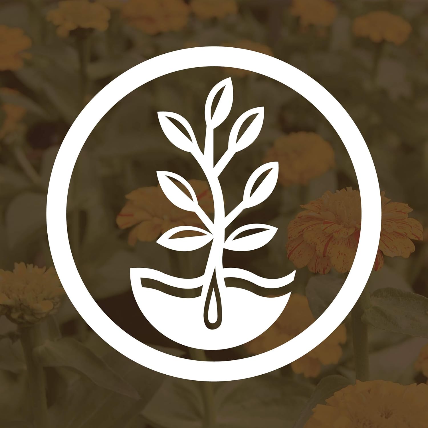 Organic Crimson Clover Seeds - 25 Lb Bulk - Farm & Garden Cover Crop, Sprouting, Microgreens, Non-GMO, Open Pollinated, Perennial, Heirloom