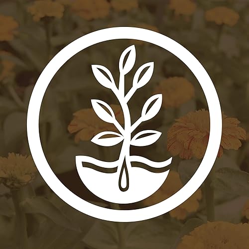 Vista 5 de Semillas de trébol carmesí (revestidas) – 5 libras – Cultivo de cobertura de jardín, sin OMG, polinizado abierto, perenne, reliquia – recubierto