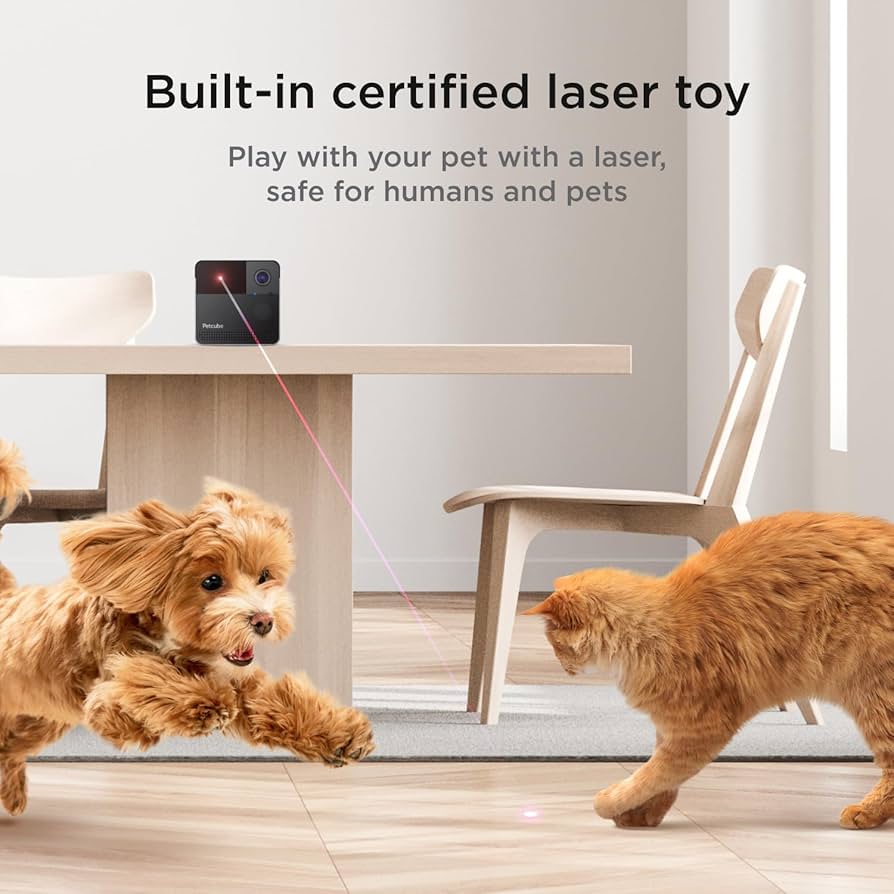 Petcube Play 【愛犬/愛猫】 Petcube Play, a pet camera that lets you play with your