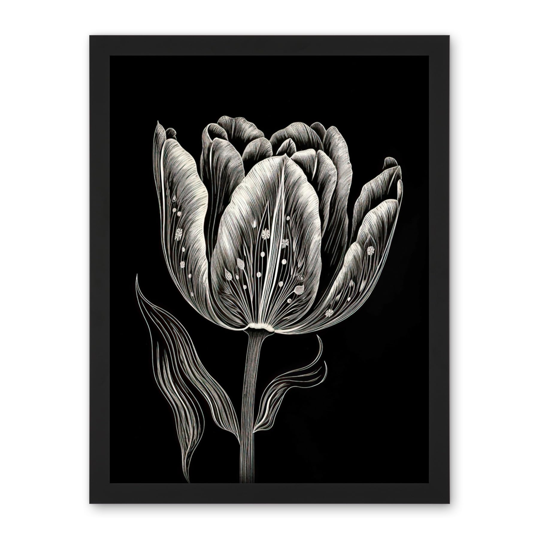 Artery8 Tulip Flower White on Black Blind Contour Folk Art Artwork Framed Wall Art Print 18X24 Inch