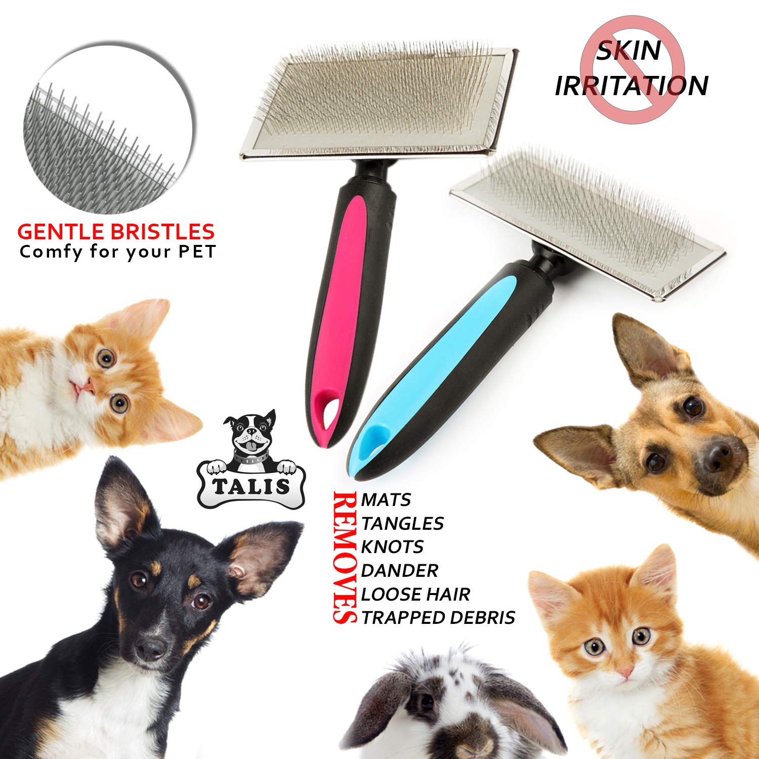 HOT Cat Hair Brush Best Dematting Brush For Cats Best Cat Brush