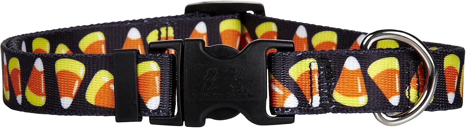 Pumpkin Patch Dog Collar - Size Large 18" to 28" Long