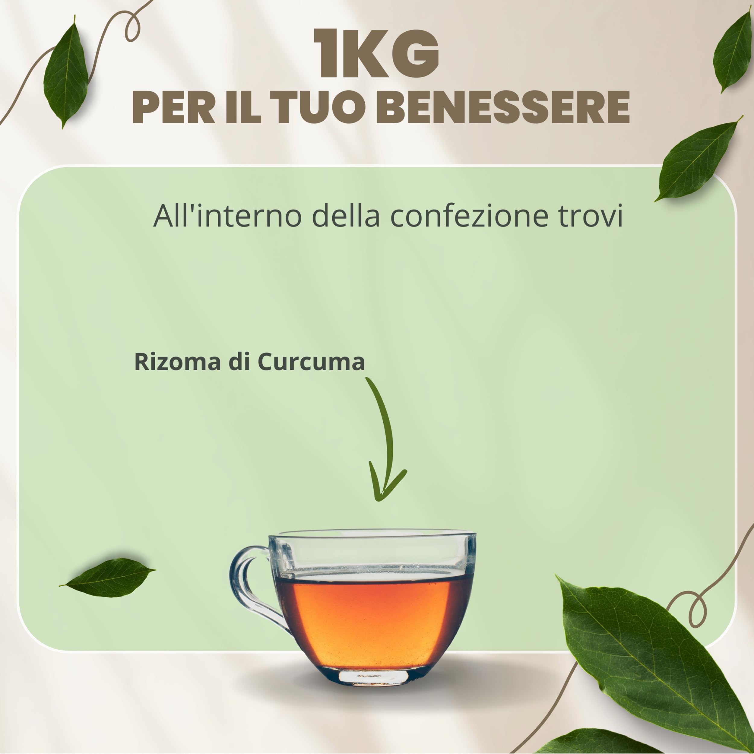 Patrizio Breseghello – Curcuma Rizoma Taglio Tisana 100% Naturale 1 kg – Curcuma per Infusi e Tisane Digestive