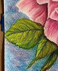 Customer Image, click to open customer review