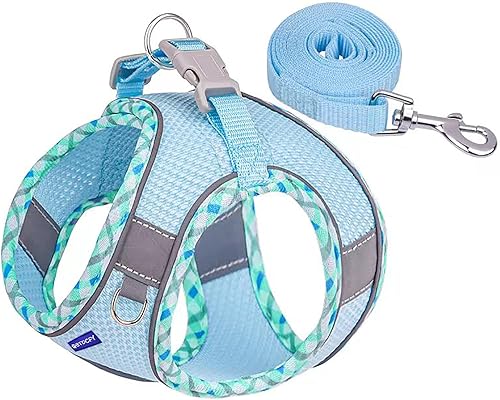 Miniatura 2 de BTDCFY Juego de arnés y correa para perro de malla transpirable, reflectante, a prueba de escape, arnés para perro, chaleco sin estrangulamiento,