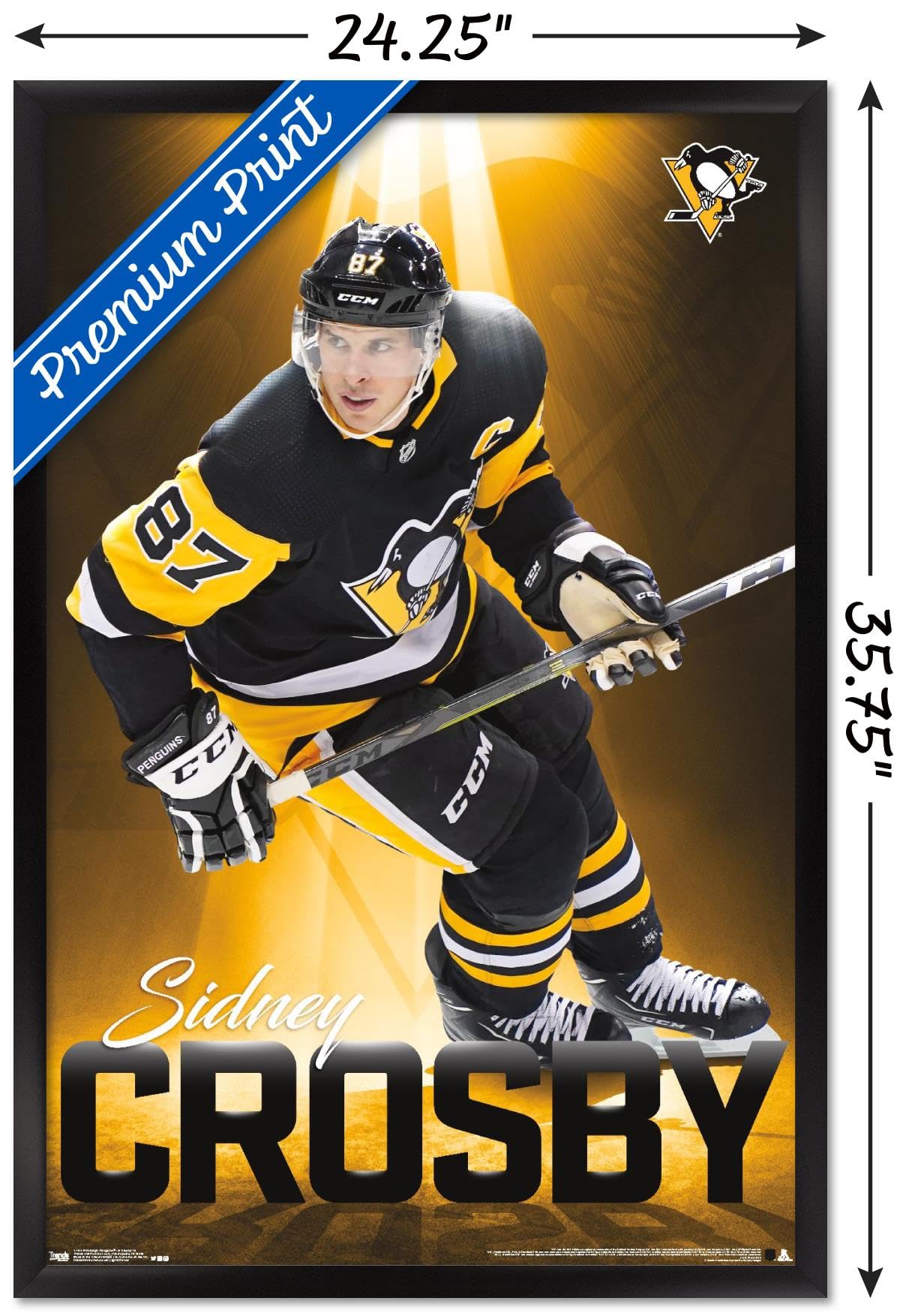 Trends International NHL Pittsburgh Penguins - Sidney Crosby 18