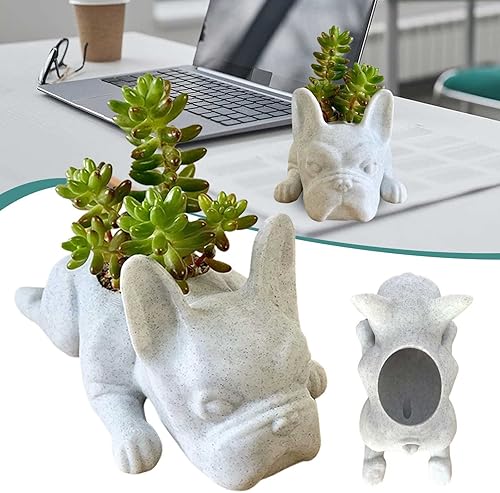 Miniatura 9 de Macetero de cerámica con forma de cactus suculentas, bonito jarrón de flores de jardín con forma de animal para decoración del hogar de escritorio