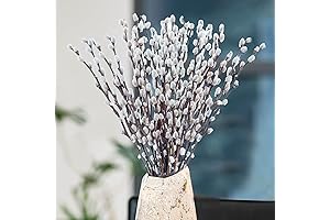 Lifelike Natural Pussywillow Decor with White Blooms