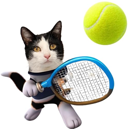 Jogo de Tênis para Gatos