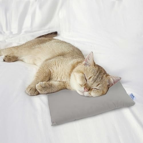 Miniatura 5 de Magik & Kover Paquete de 2 almohadas pequeñas pequeñas para viajes, 11 x 7 pulgadas, pequeñas almohadas con etiqueta de nombre, viajes y sueño,