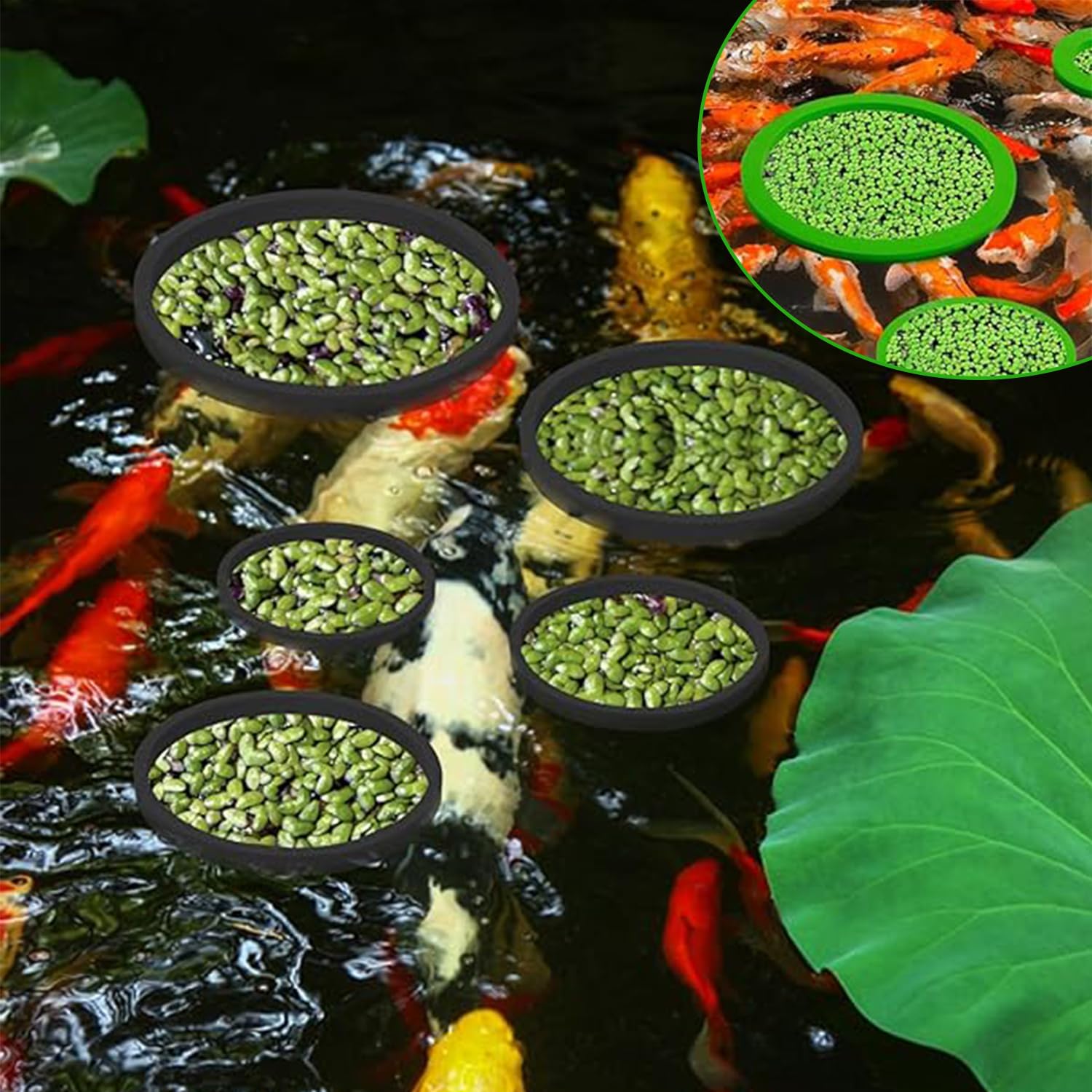 Anelli Di Piante Galleggianti 10 Pezzi, Anello Galleggiante Rotondo Per Acquario, Recinto Per Piante Galleggianti Per Pesci Rossi Tartarughe Nero e Verde