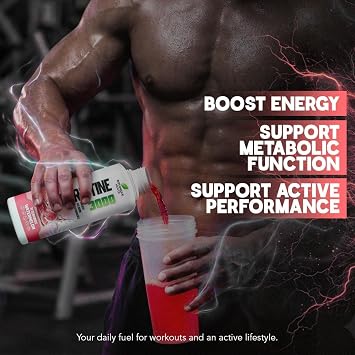 L-Carnitine Liquid 3000mg Per Serving | High Strength Liquid Carnitine | Energy & Metabolism Support | 31 Servings | Sugar Free, Vegan | Watermelon