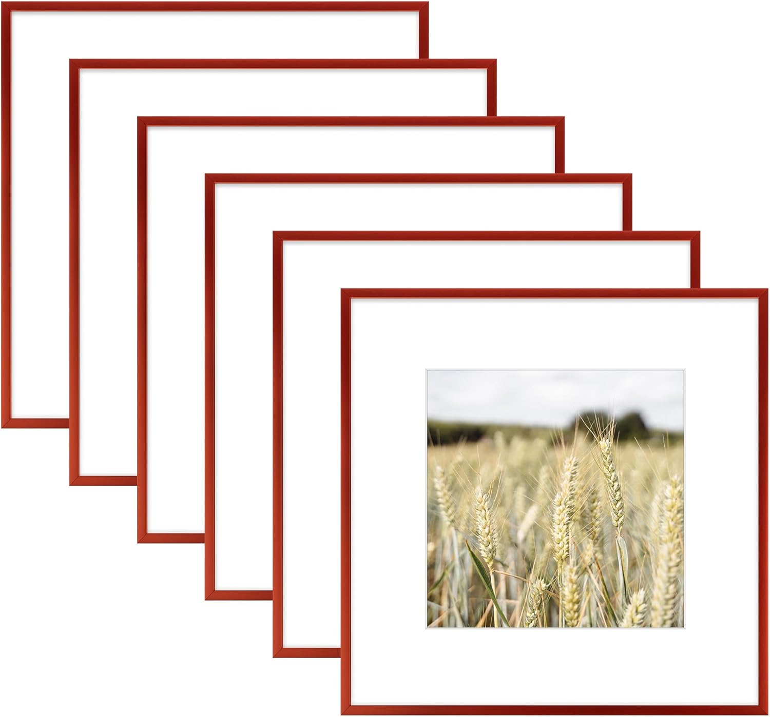 Golden State Art 12x12 Picture Frame 6 Pack - Dark Red Aluminum Photo Frames With 8x8 Mats and Real Glass Cover - Elegant Minimalist Wall Gallery Frames for Home or Office Decor