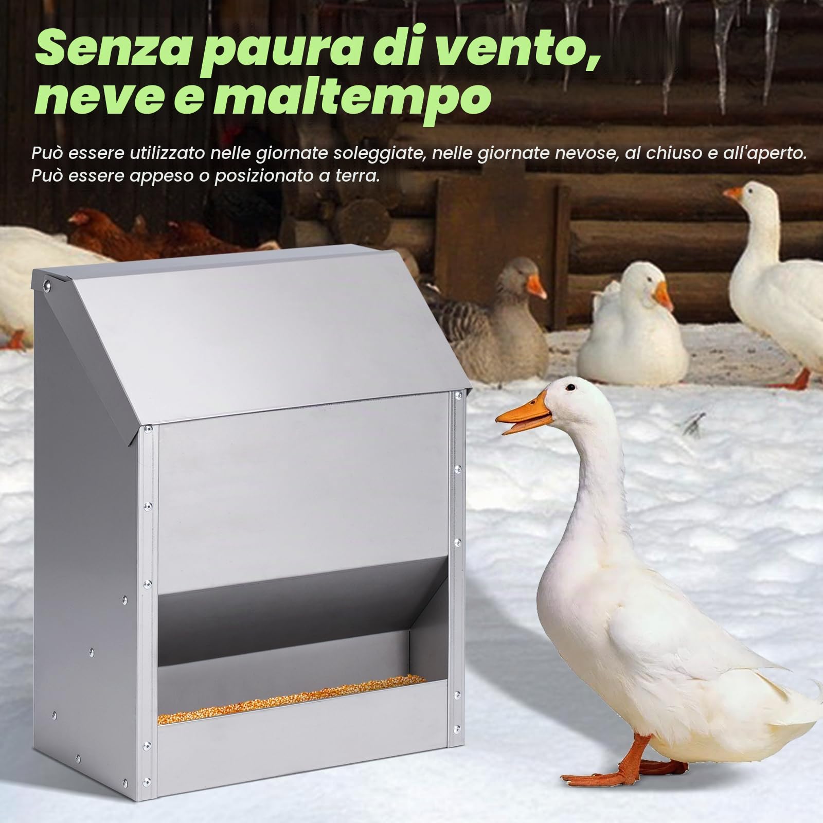 Distributore Automatico Mangime Per Polli, 10 Kg di Mangime per Pollame Appeso in Acciaio Inox con Abbeveratoio per Polli, Senza Sprechi, Mangiatoia per Pollai All'Aperto, Mangiatoia per Anatre, Oche