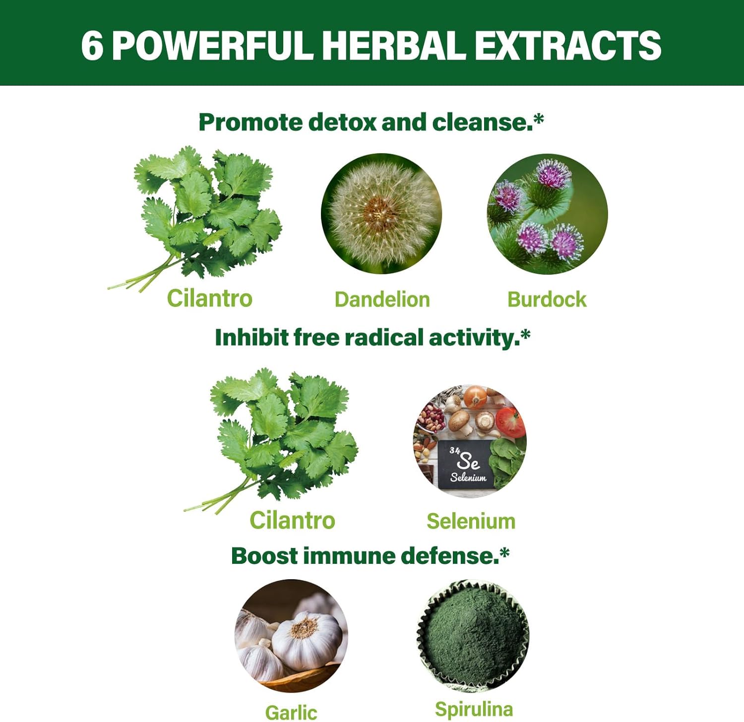 Cilantro Drops for Body Detox & Cleanse, Cilantro Tincture Natural Supplement Support Immune with Garlic Dandelion Spirulina Selenium Burdock Blend. 2oz - Image 3