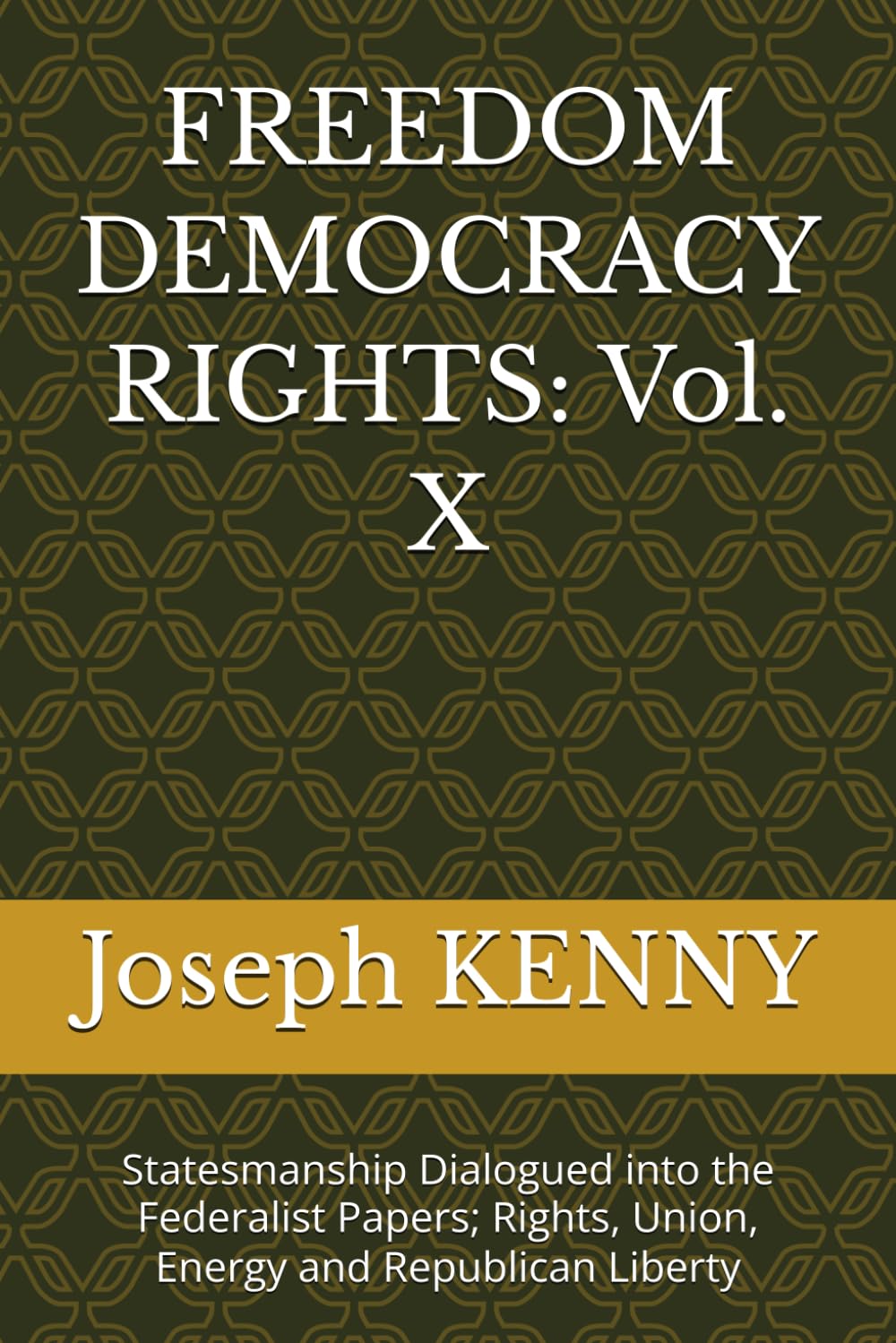 FREEDOM DEMOCRACY RIGHTS: Vol. X: Statesmanship Dialogued into the Federalist Papers; Rights, Union, Energy and Republican Liberty