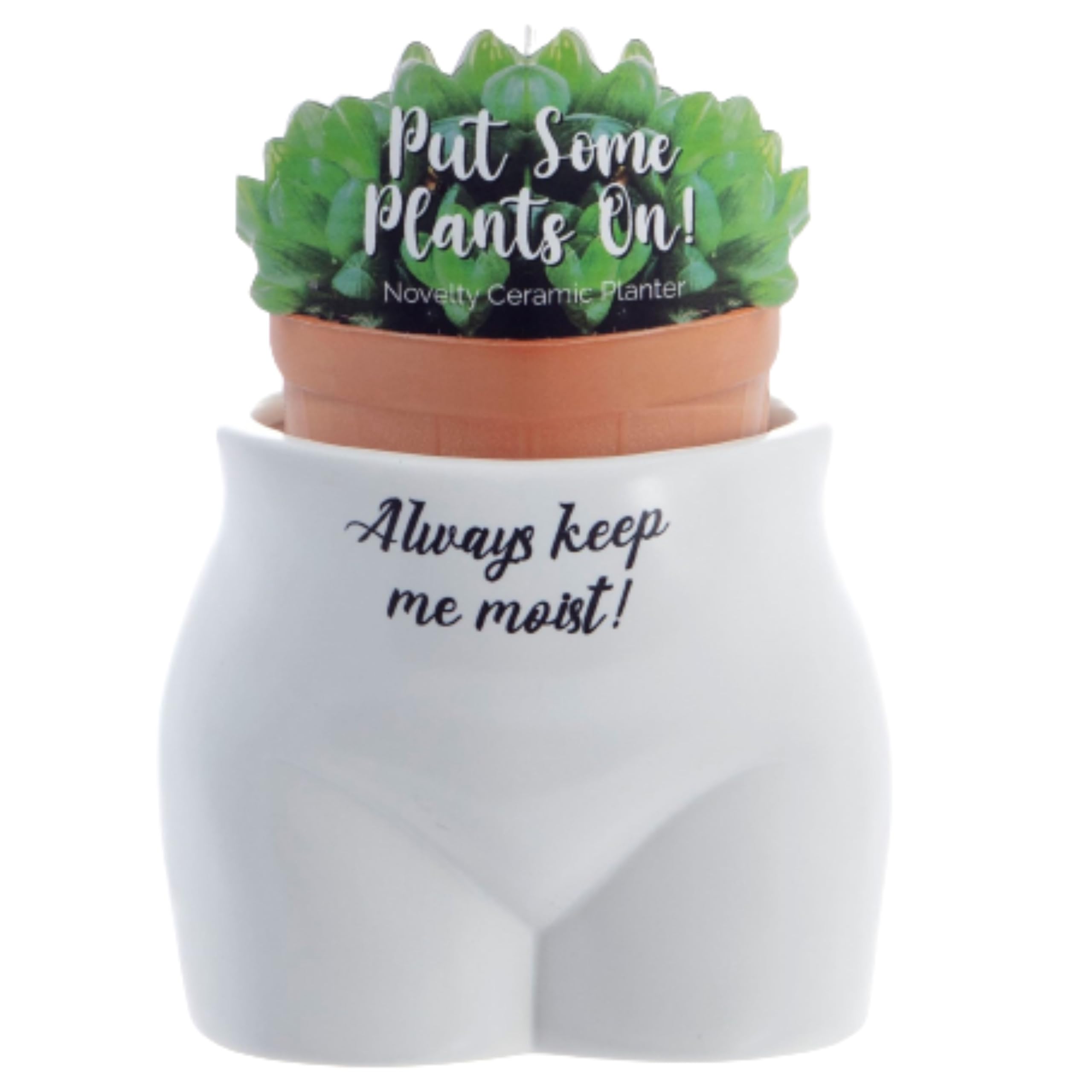 Put Some Plants On - Always Keep Me Moist