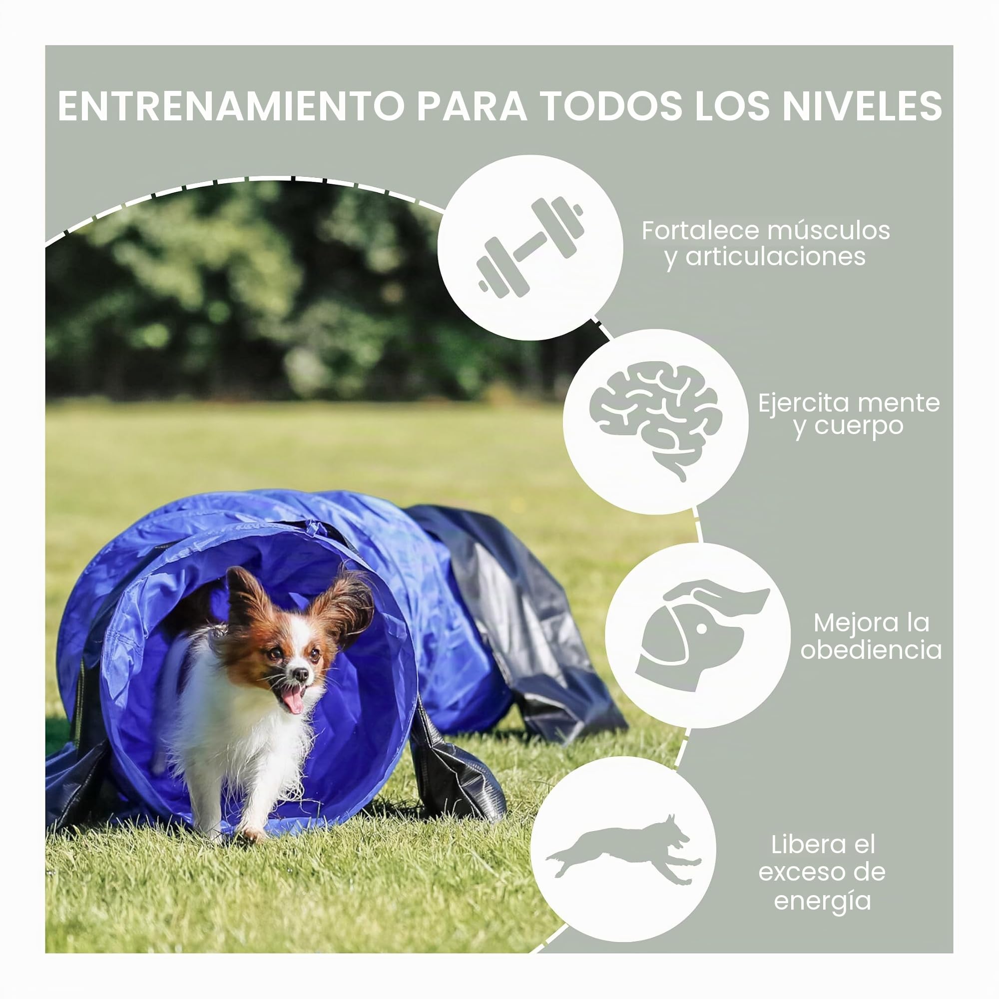 TRIXIE Túnel para Agility para Perros