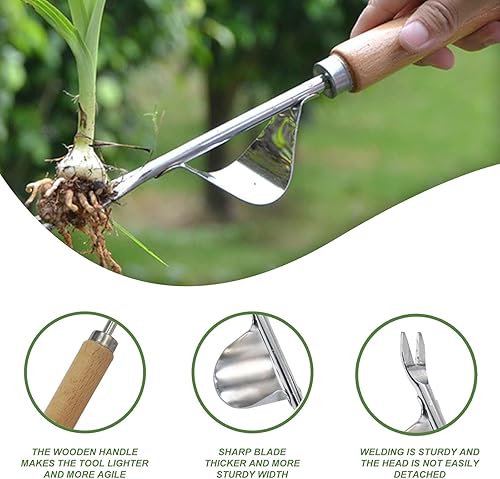 Miniatura 3 de Extractor de malezas, herramienta de deshierbe de acero inoxidable, herramienta manual de eliminación de malezas, desbrozadora de raíces para