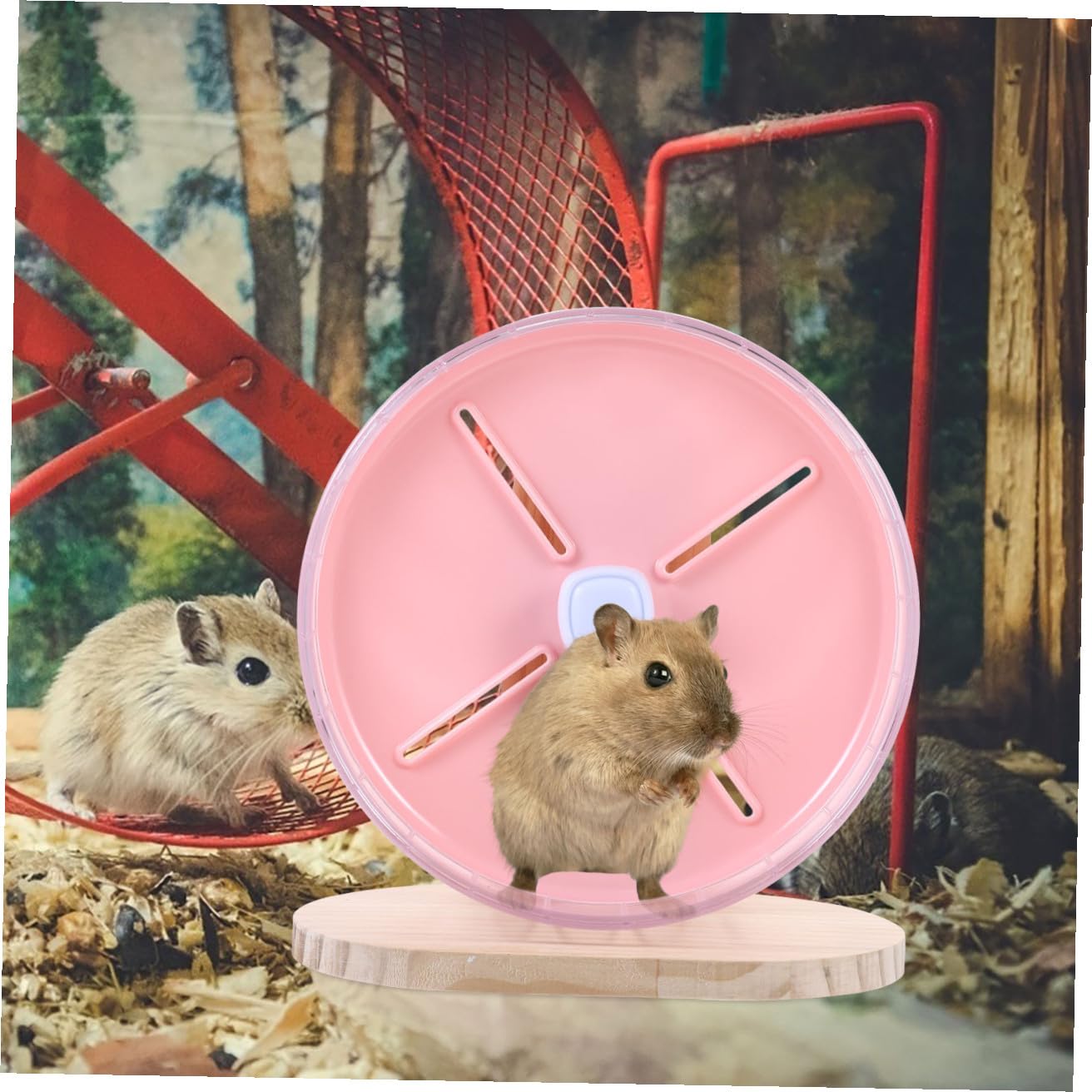 Geräuschloses Hamsterrad und Abs mit Ständer Kompaktes Laufrad für Kleine Haustiere Wie Chinchilla und Goldhamster Platzsparend und Leicht zu Verstauen