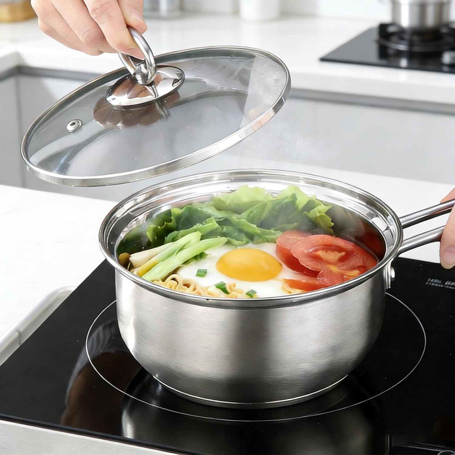 Pssopp 2Pcs Cooking Pots Set, Stainless Steel Double Handle and Single Handle Pot with Lids for Soup Milk Meal Preparation