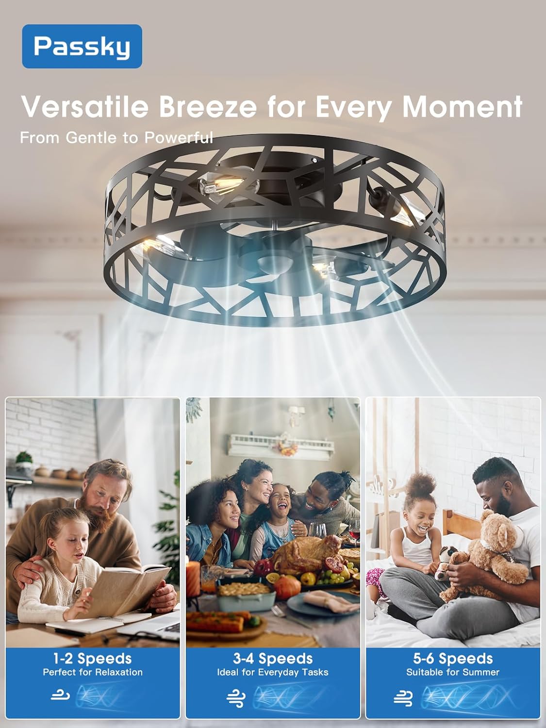 Passky 20" Fandelier Ceiling Fan with Light, Caged Bladeless Ceiling Fans with Remote, Farmhouse Flush Mount Fan for Bedroom, Kitchen, Living Room, Black