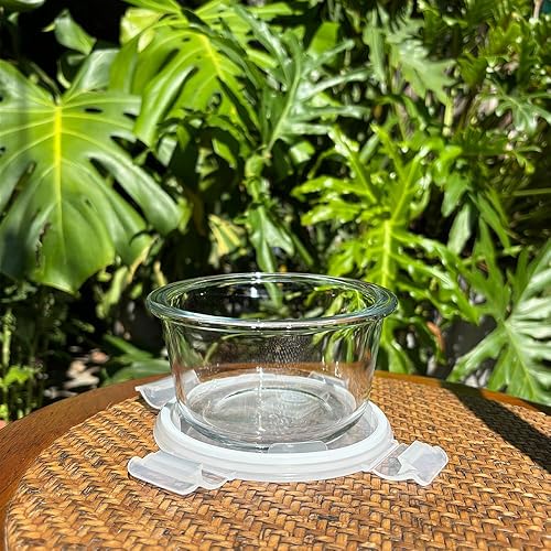 Miniatura 8 de Recipiente de vidrio para sopa de 2 tazas con tapas herméticas, recipiente redondo de almacenamiento de alimentos de 16 onzas, cuencos redondos para