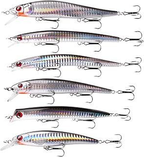 Saltwater Fishing Lures Kit, Surf Fishing Minnow Lures Jerkbait Popper Plugs Deep Diving Hard Baits Treble Hooks for Striped Bass Offshore Ocen Gear Tackle 6/12Packs