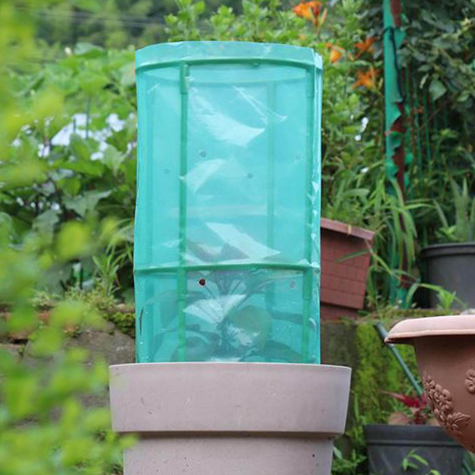 Cloches pour 4 Pièces Cage Respirante Réutilisable | Cloches Pour Et Au Jardin Adapté aux myrtilliers légumes fruits potager surélevé balcon urbain et verger