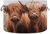 Vista 10 de xigua Cesta grande de cuerda de algodón de almacenamiento mexicano Serape manta rayas colorido cesto de lavandería