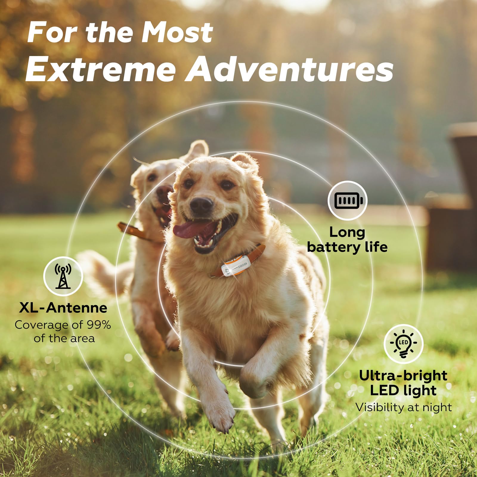 DBDD Smart GPS Dog Collar Tracker con recinto virtuale, monitoraggio live e segni vitali, per cani fino a 18 kg, impermeabile, per cani da 18 kg in su, compatibile con iOS e Android (bianco)