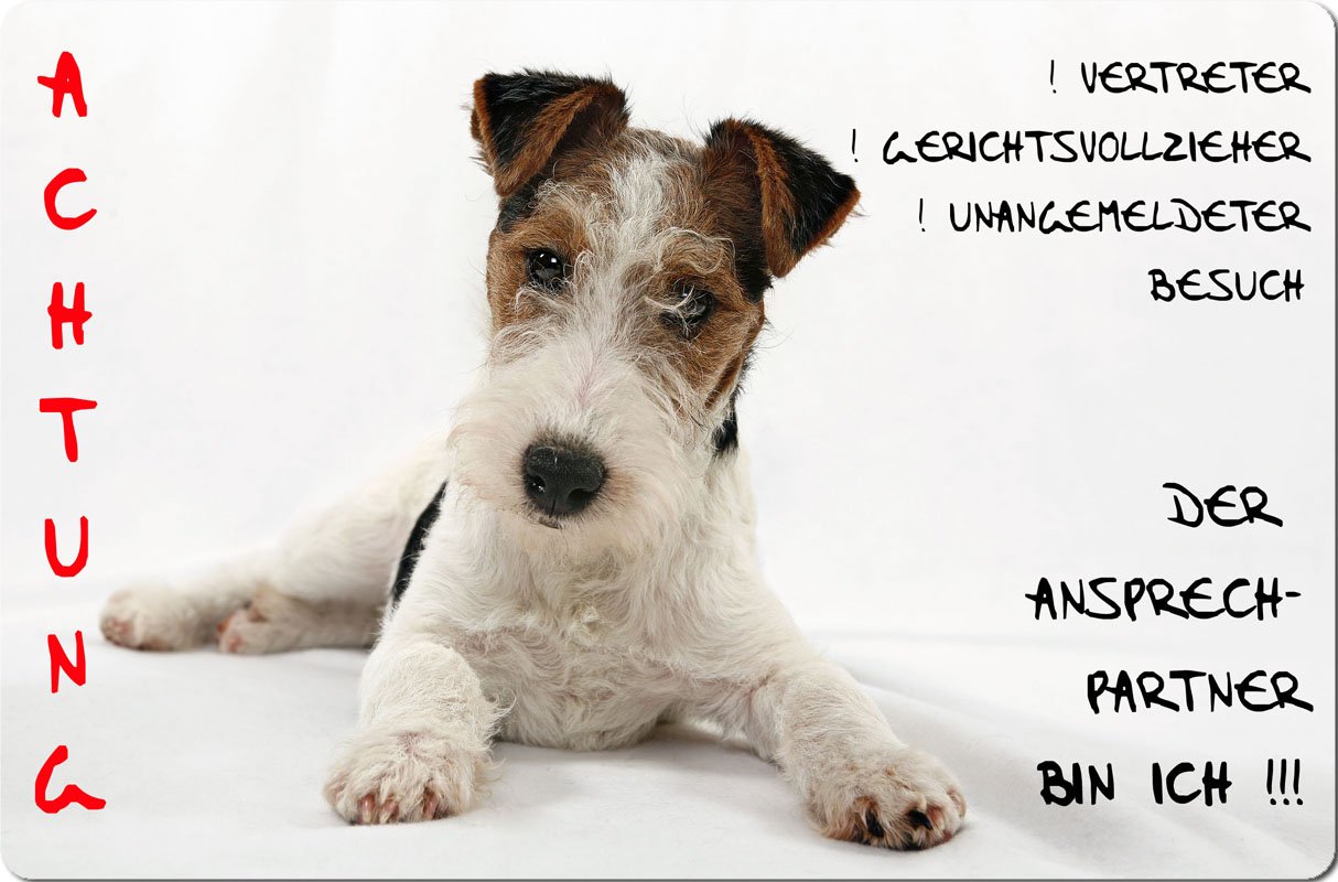 FOXTERRIER Warnschild Aus Aluminium – 30,5x20 Cm, Hundeschild Für Grundstück