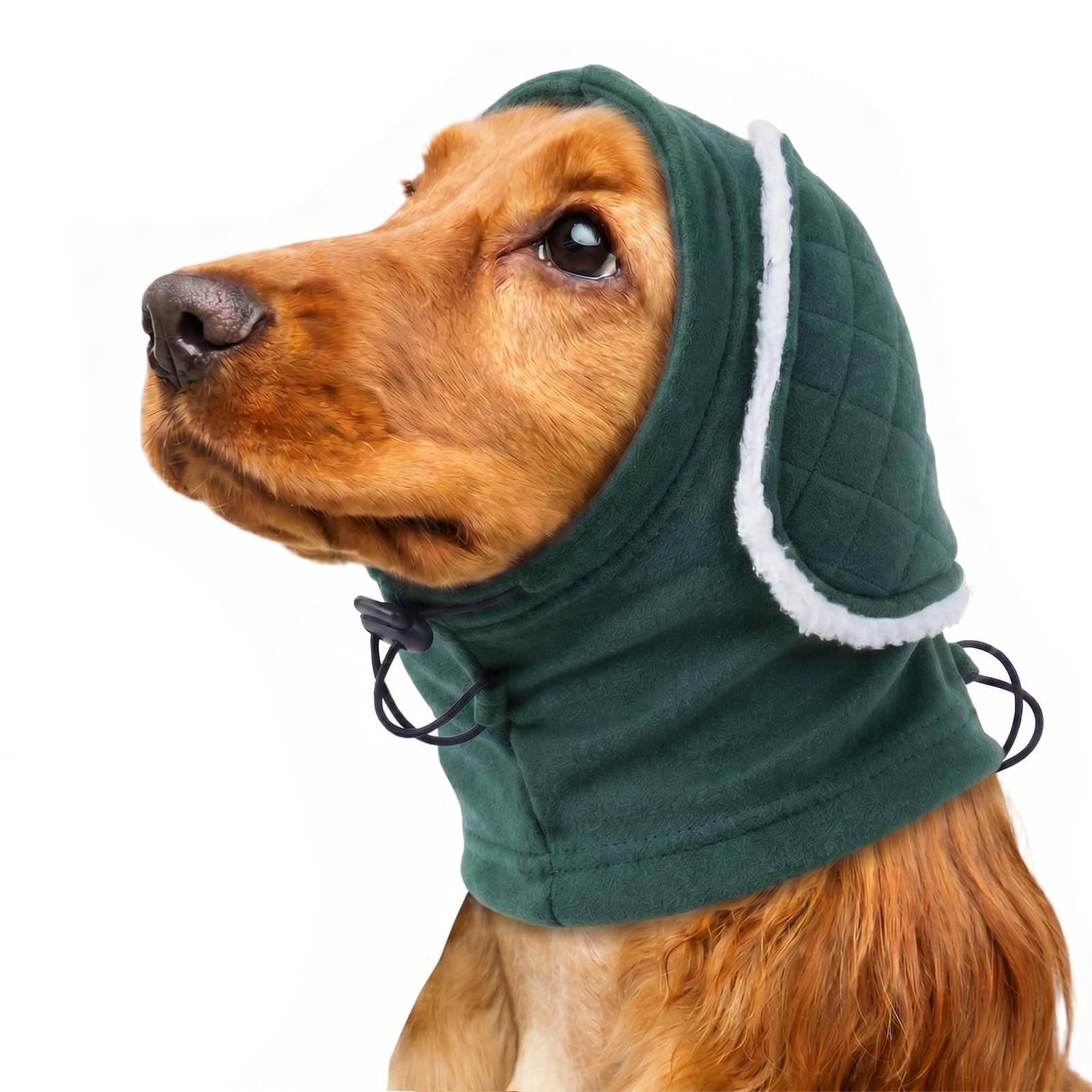 Protection Oreilles Chien avec Rembourrage, Cache Oreille Réglable, Garde Les Oreilles Propres, Anti-Grattage, Confortable avec Légère Atténuation du Bruit, Vert XL