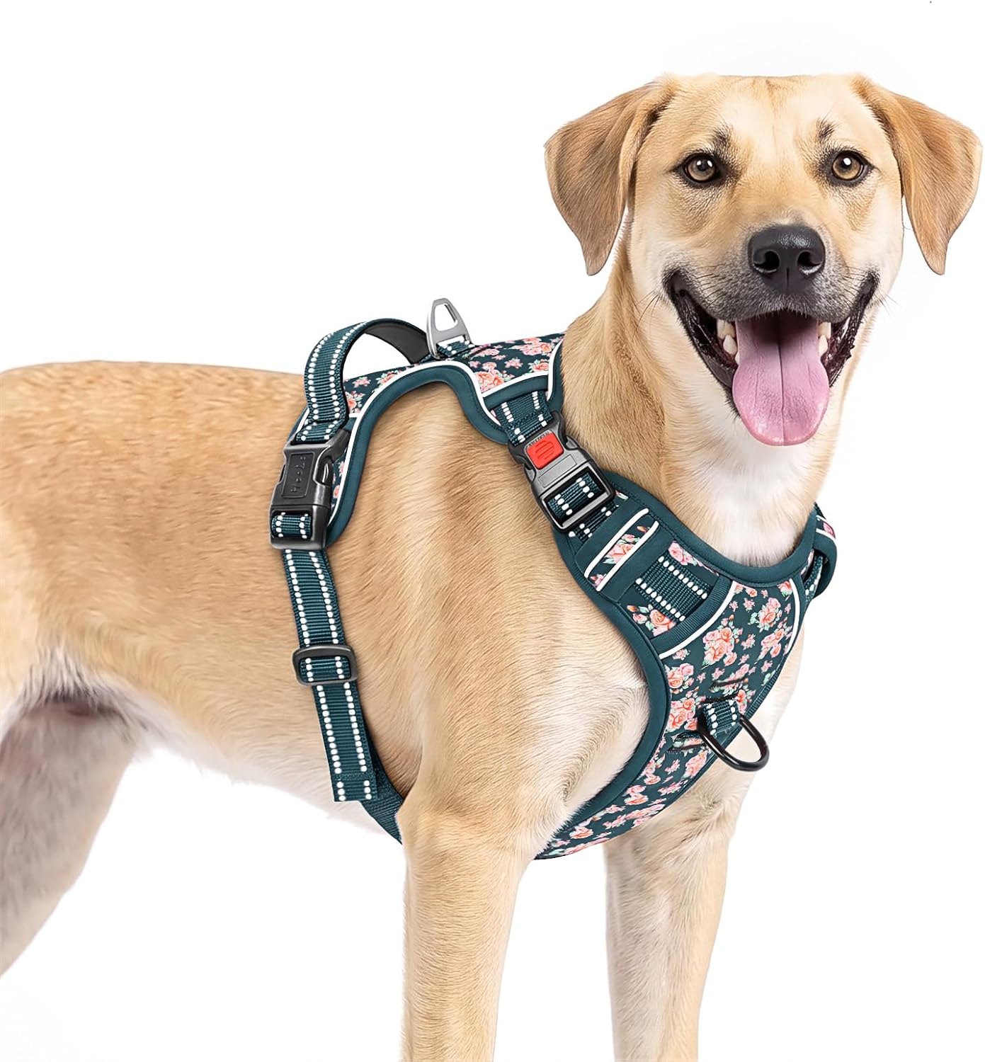 HEELE Dog Harness, No Pull No Choke, Easy On & Off, Flower Blackish Green L