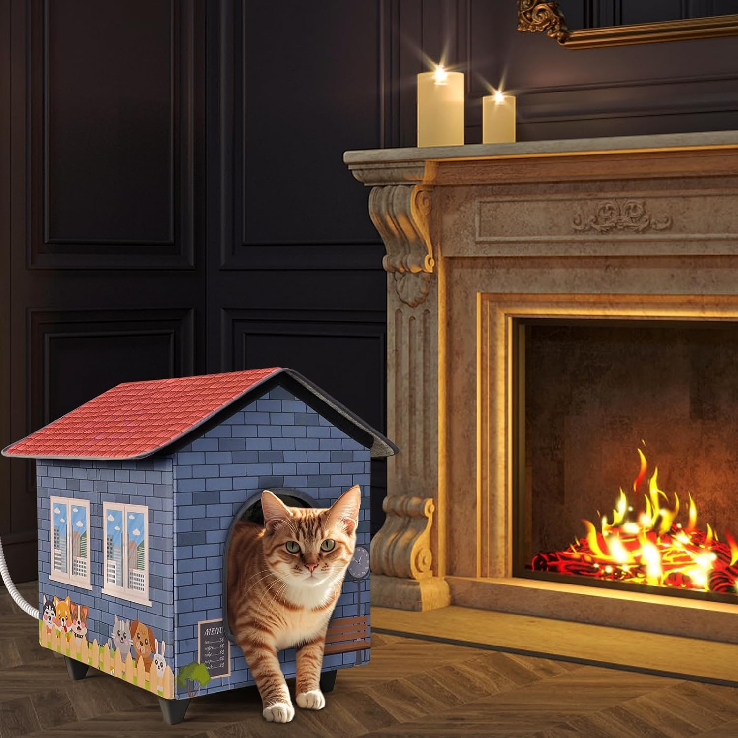 Heated Cat House for Outdoor with Elevated Base,Heated Kitty House for Outside in Winter Blue