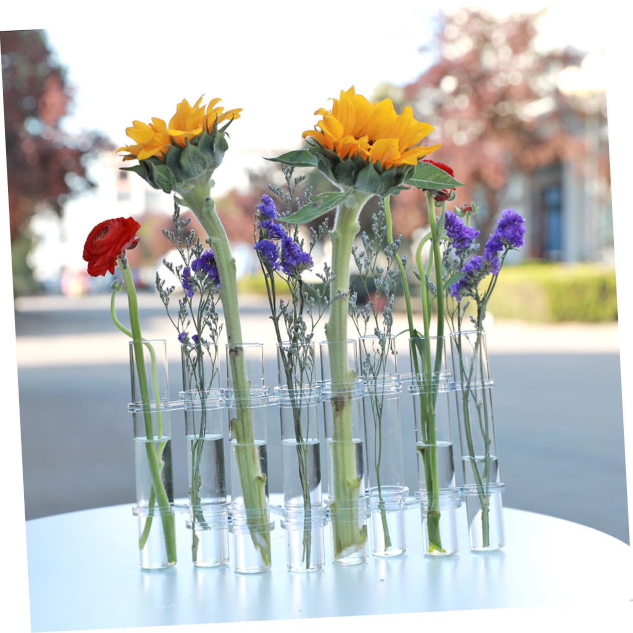 ABOOFAN Propagation Tubes Verre pour Plantes Intérieur Vase de Culture Hydroponique avec Support Lot de Grands Tubes avec Brosse Décor de Bureau et Maison Polyvalent
