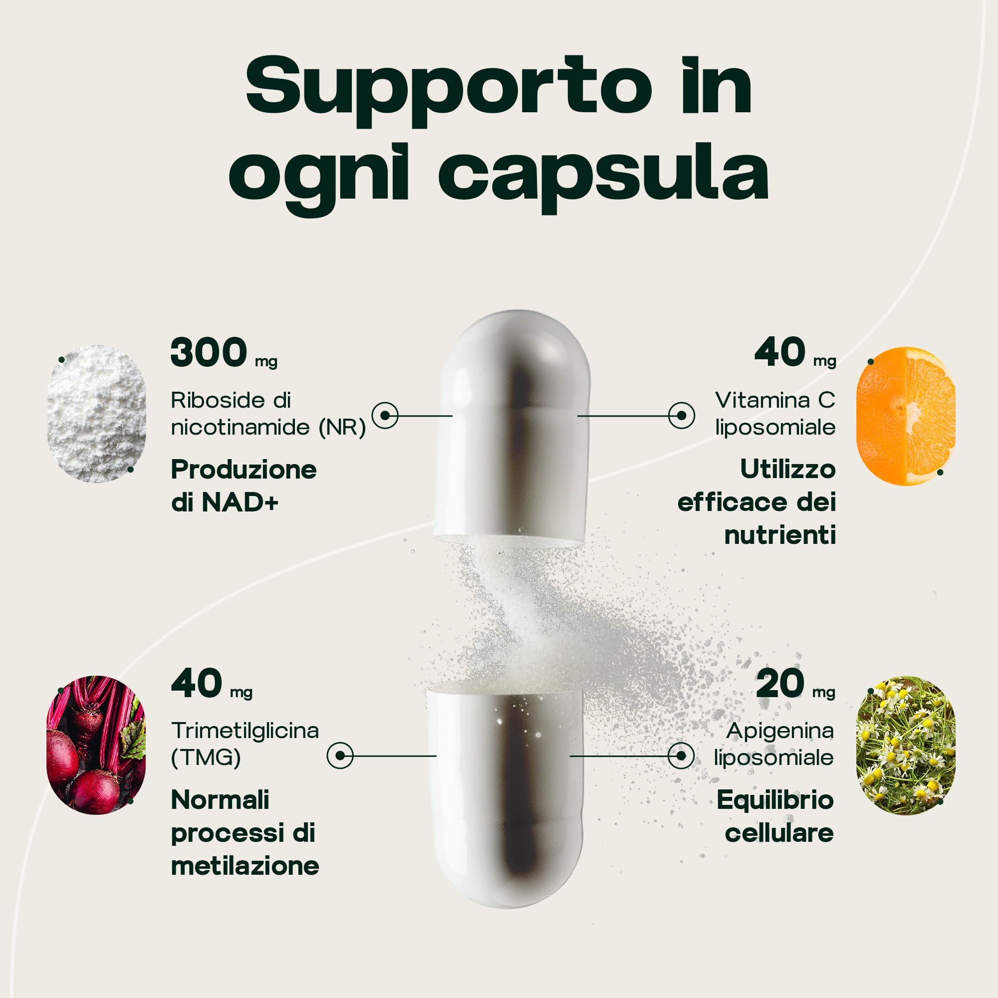 NAD+ Synergy – NAD liposomiale per l’invecchiamento in salute, 300 mg di NR con apigenina liposomiale, TMG e vitamina C, scorta per 2 mesi, Prodotto in UE