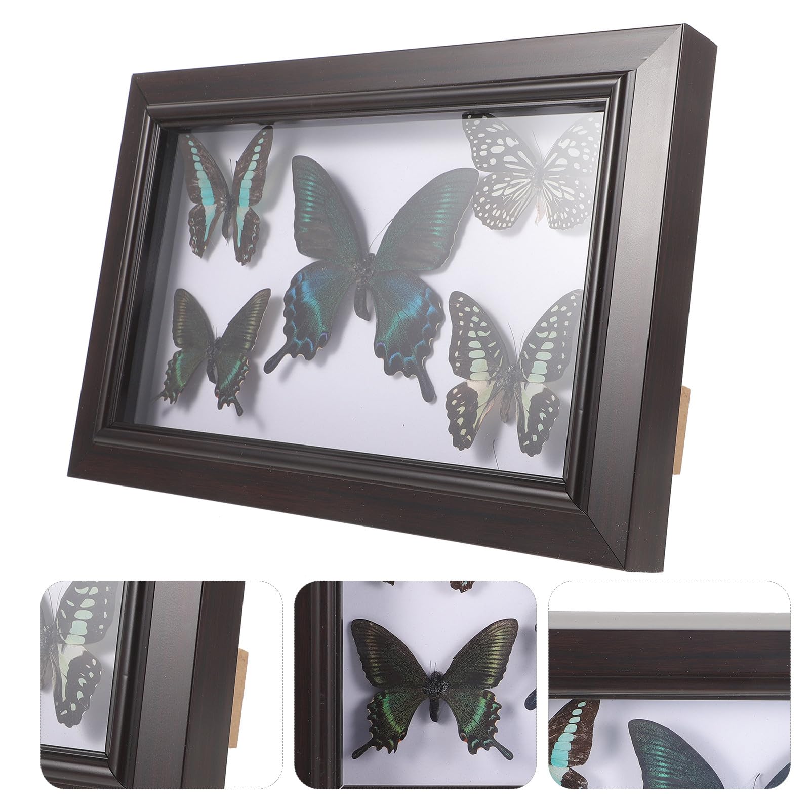 Marco de Exhibición para Mariposas Reales, Decoración de Pared de Madera para Sala y Escritorio, Arte Creativo para Colecciones y Eventos Obsequios