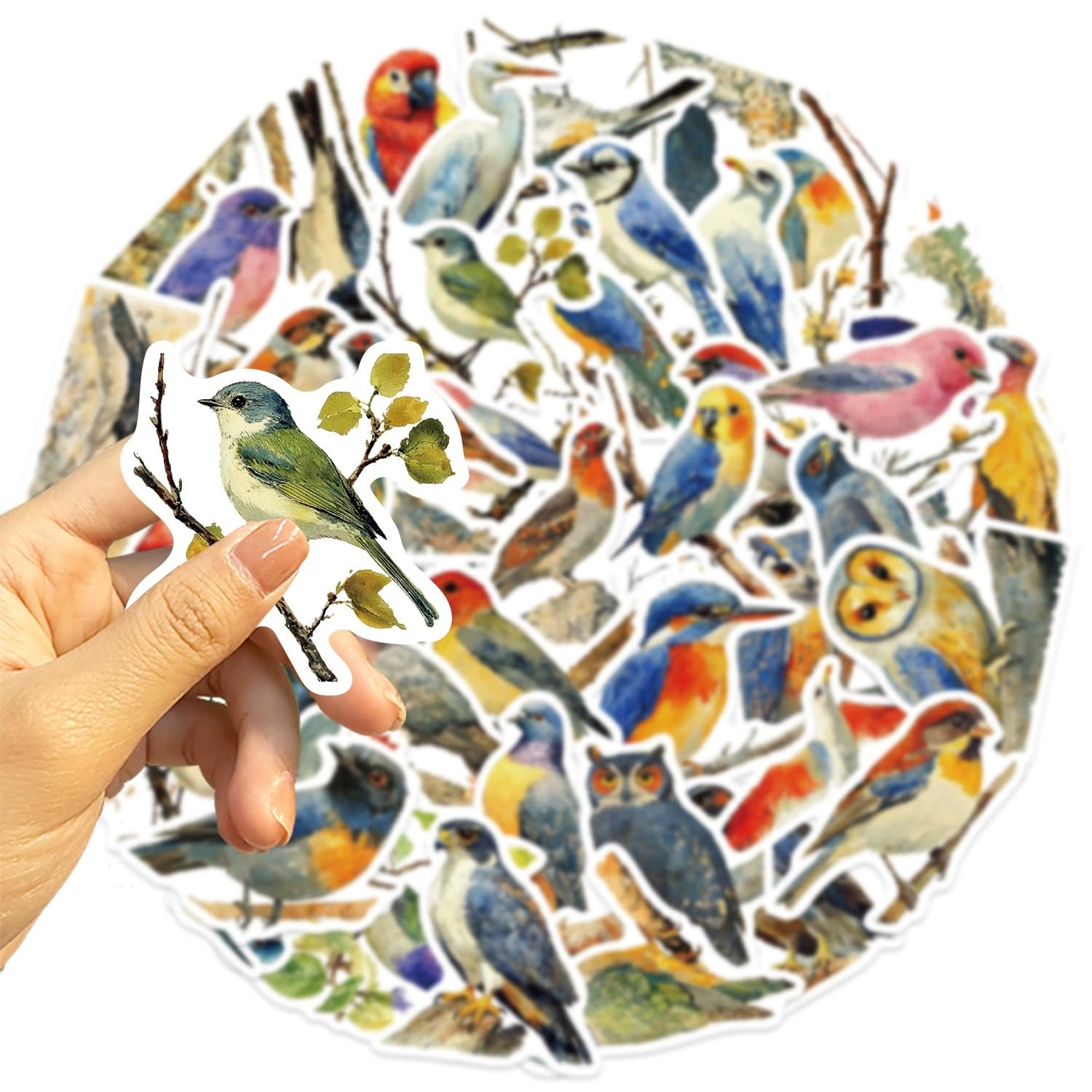 50 Pcs Watercolor Bird Stickers for Kids Teens Adults Boys Girls Gift,Bird Decals Pack for Laptop,Skateboard,Luggage,Car,Bike,Cup,Computer,Water Bottle Decor,Vinyl Waterproof Stickers - Image 2