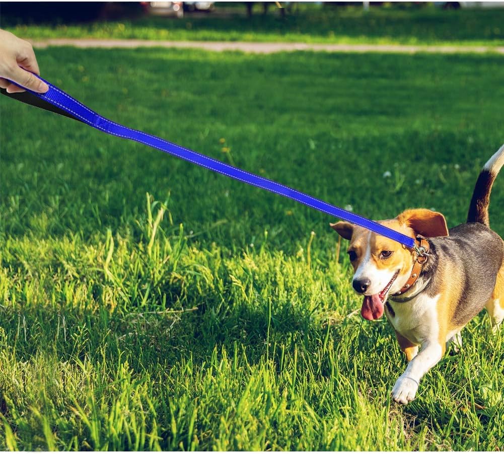 Reflective Dog Leash with Soft Padded Handle for Training, Walking