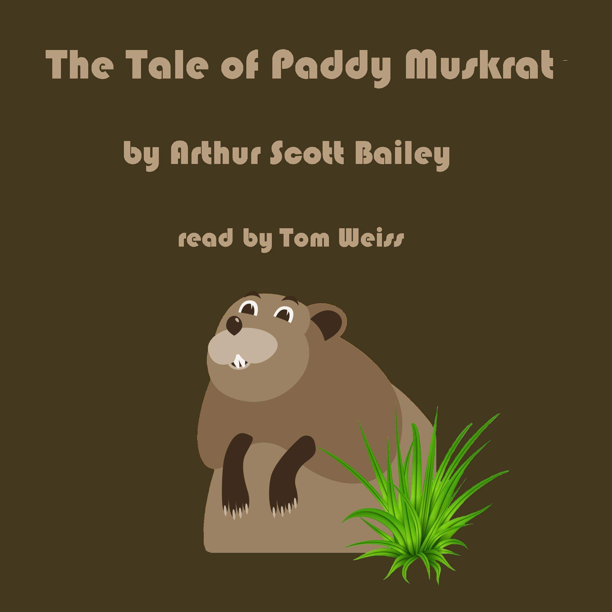 The Tale of Paddy Muskrat