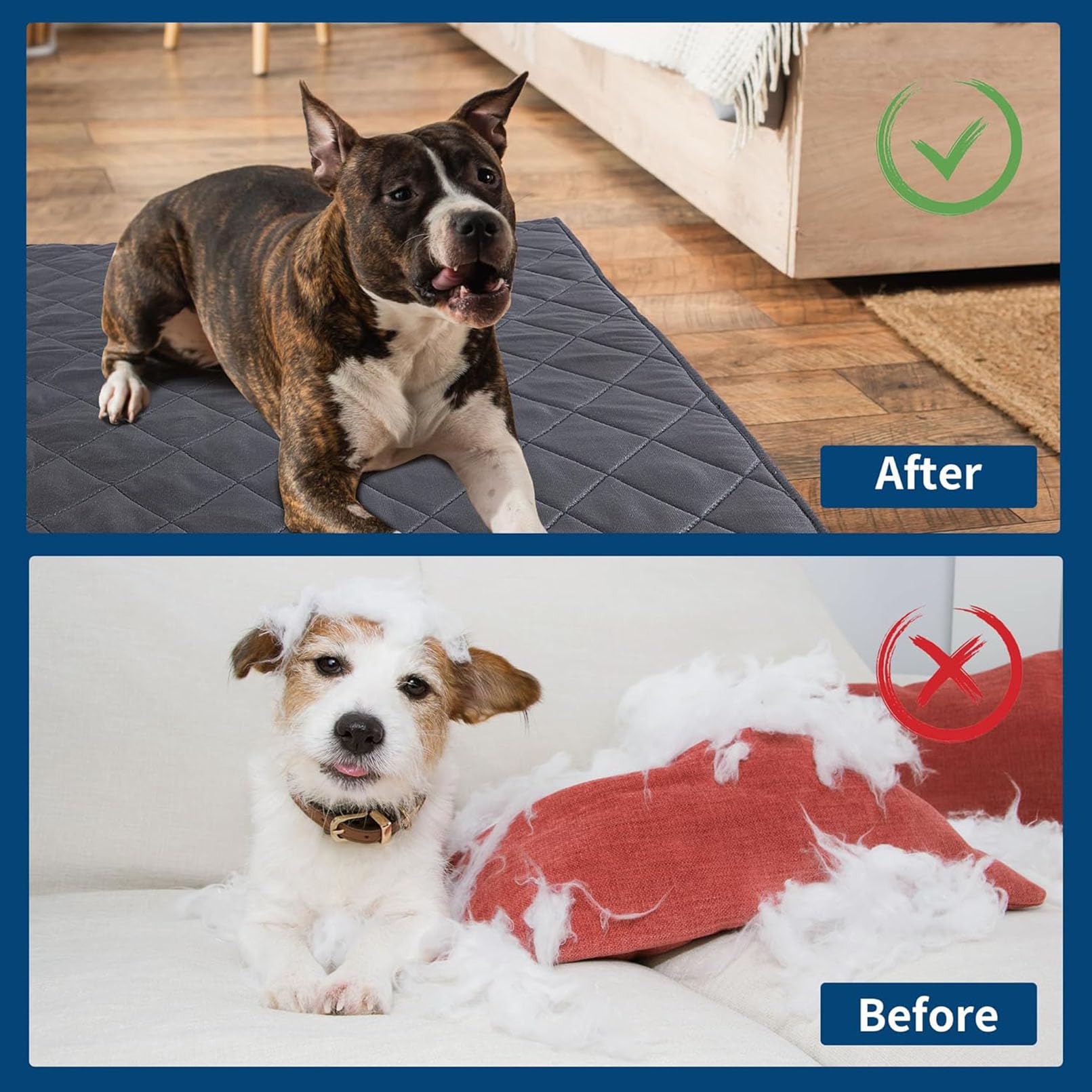 Tapis Chien Indestructible Anti-Mastication 71x119cm Noir Lavable Résistant Pipi