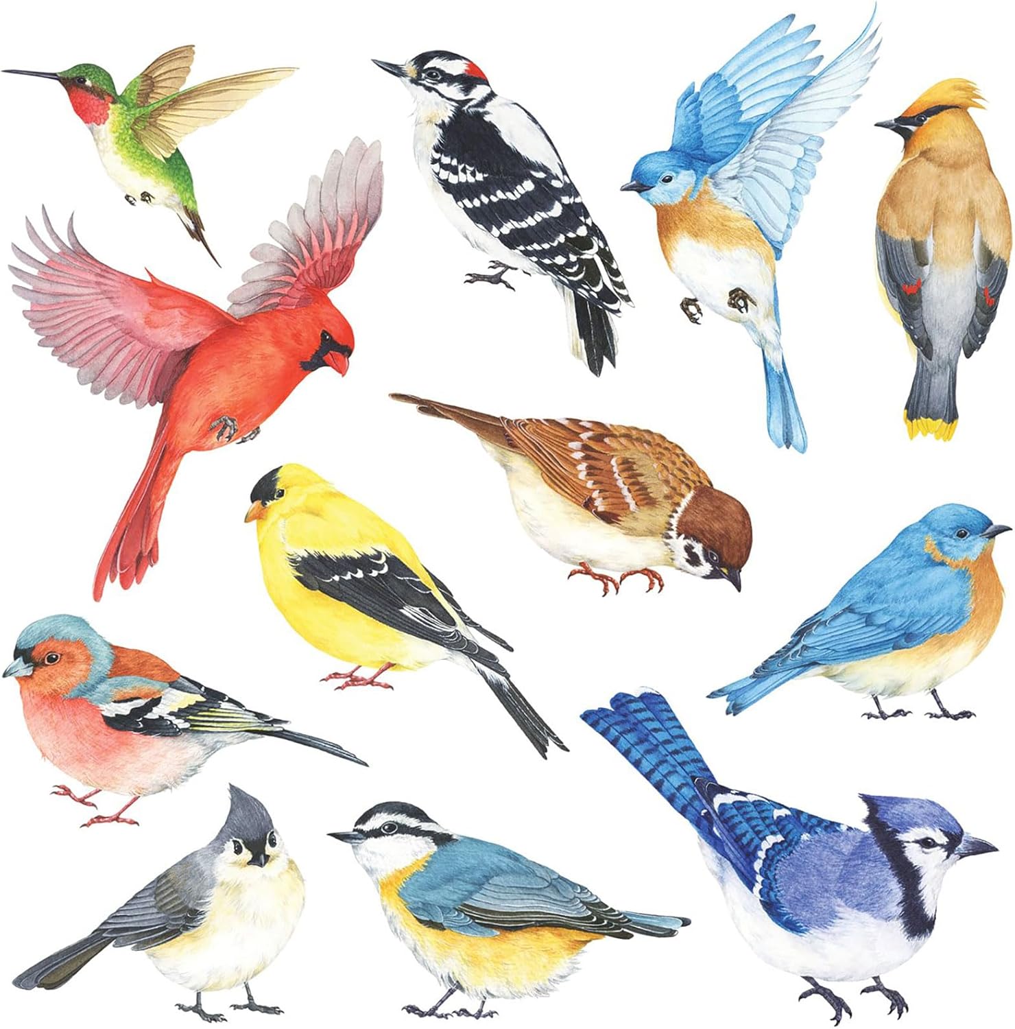 DECOWALL DS2-8042 Little Birds Wall Stickers Wall Decals Peel and Stick Removable Wall Stickers for Kids Nursery Bedroom Living Room (Small)