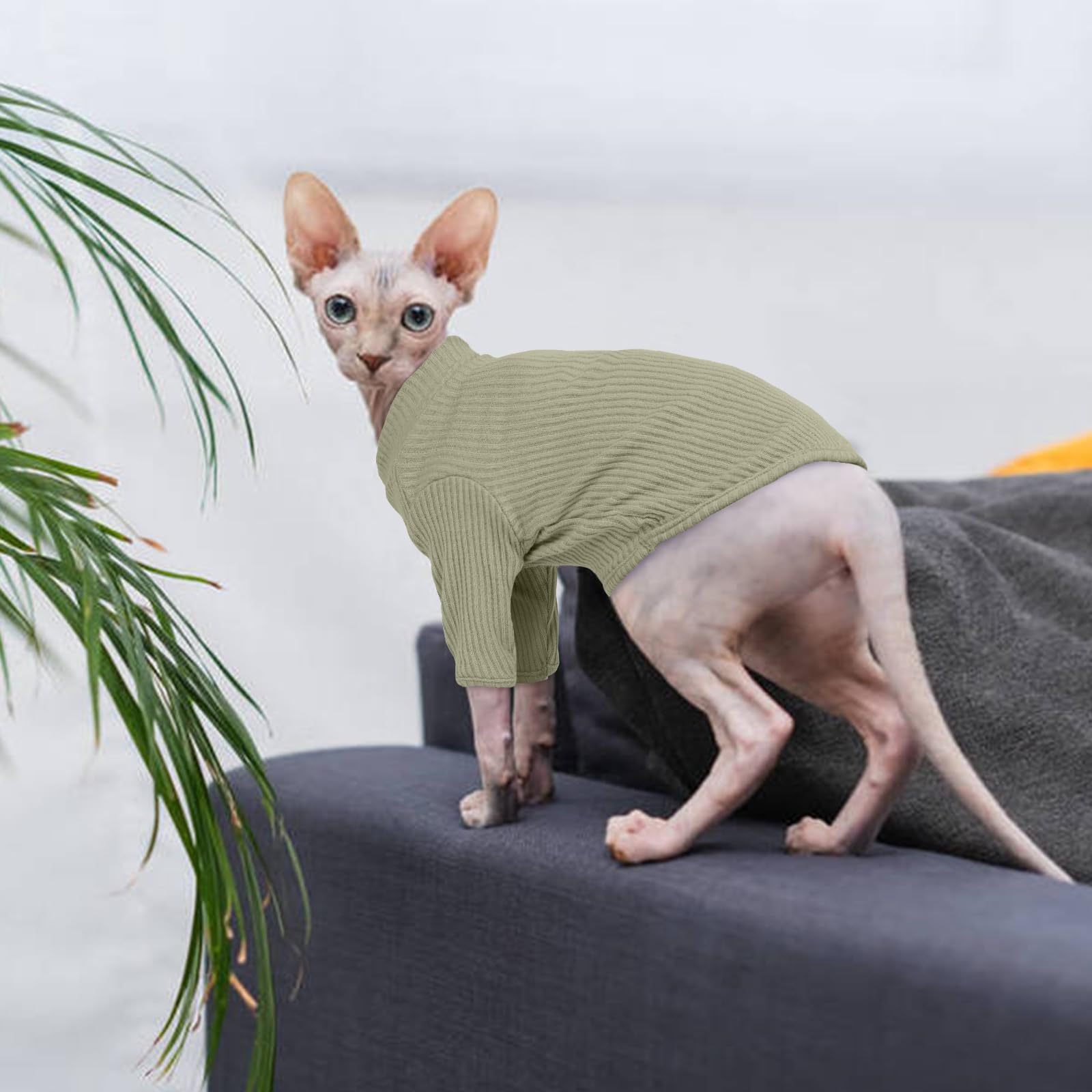 Hairless Cats Vest Turtleneck Sweater, Breathable Adorable Cat Wear Shirt Clothes, T-Shirts with Sleeves,Cat's Pajamas Jumpsuit for Sphynx, Cornish Rex, Devon Peterbald, Black — view 5